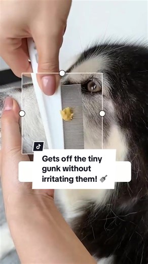 Effective Flea Comb for Gentle Grooming