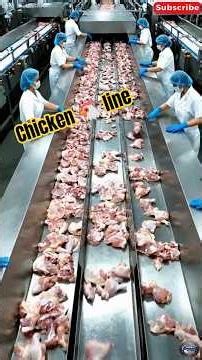 Chicken Mega Factory Inside 🔥 Ultra Fast Processing Line | Modern Food Industry 2026#chicken