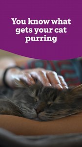 Our free Cat Guardians service means the care you give your cat will continue, even if you pass away. Find out more today.  | Cats Protection | Facebook