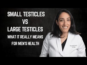 What Your Testicle Size Really Means _ Male Hormone Health Explained _ Dr. Rena Malik