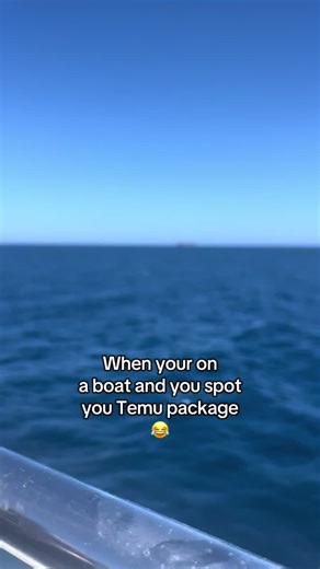 #lol #temu #package
