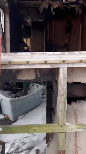 Six hours. 25° weather. 29 terrified mixed breed dogs. It felt like walking straight into one of those commercials—the kind with the Sarah McLachlan music playing in the background. Cold noses, shaking bodies, fearful eyes, and dogs who didn’t know yet that help had finally arrived. For six long hours, our team worked through the freezing temperatures to safely rescue 29 mixed breed dogs from heartbreaking conditions. Many were scared, unsure, and clinging to one another for comfort—but every si