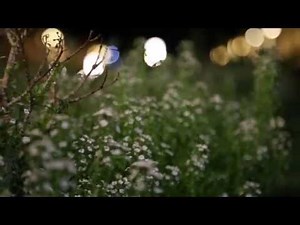 New Academic Building-BITS Pilani