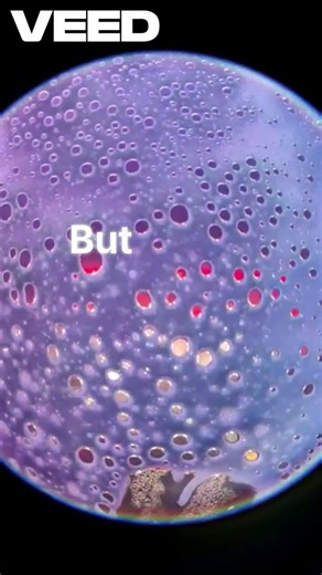 The Real Colors of Blood 👈🧠#biology #health #schoollife #information #science #information