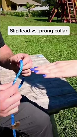 Part 1- Slip lead vs prong collar