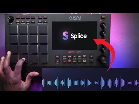 How to Turn Samples into Beats in Minutes | Splice Create