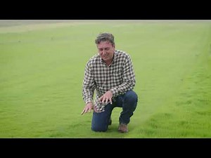 🌿The Garden Gurus come to Lawn Solutions Australia!