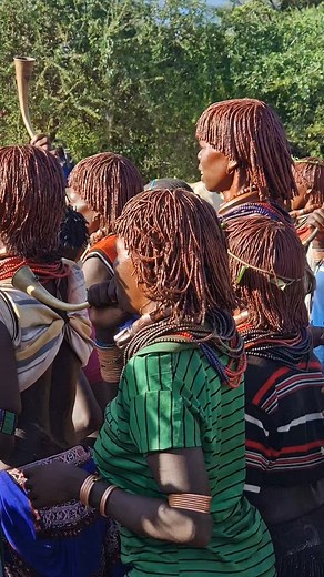 Mamaru Ethiopian Tours on Instagram: "Hamer tribe at Bull-Jumping Ceremony Omo Valley Ethiopia. . . . #Ethiopia #OmoValley #omoriver #tribes #mamaruethiopiantours #mamarulocalguide #omovalleytribes #omovalleytour #omovalleylocalguide #africa #travel #travelblogger #travelafrica #travelethiopia #seeafrica #visitafrica #facepainting #hamer #hamertribe #hamertribes #hamervillage #bulljumping #bulljumpingceremony #visitomovalley #omoadvisor #mamaru"