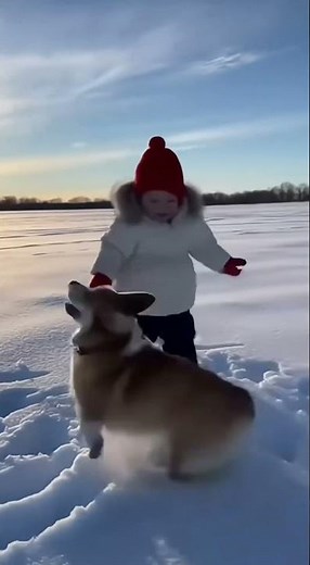 Baby Playing in the Snow with Corgi