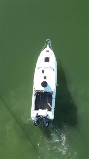 Take control. The apex predator heads North. The Northbank 750HT . Available now at AMC. We are back on deck Monday 12th of January. If 2026 is the year you move up towards your dream offshore trailer boat, then you really need to inspect this beast. . @northbankboats @mercurymarineau Twin Mercury Verado 250hp V8s with Joystick. 👊 . #australianmarinecentre #northbank #amc #mercury | Australian Marine Centre