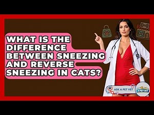 What Is The Difference Between Sneezing And Reverse Sneezing In Cats? - Ask A Pet Vet