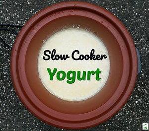Slow Cooker Yogurt. Easy   Better than ANY Store Brands