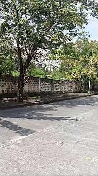 MacArthur ParkSong by Richard Harris ‧ 1968