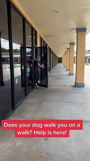 Jamie Diaz on TikTok