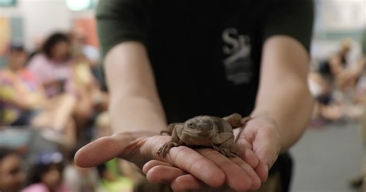 Santa Fe College Teaching Zoo celebrates Zoo Keeper Week