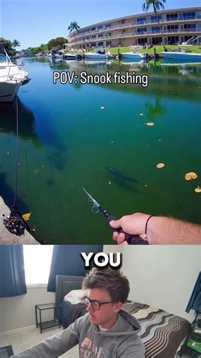 POV: Snook Fishing 😡 #fishing #snookfishing #fish
