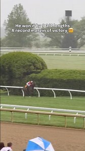 Burnham Square 🏆 A Graded Stakes Winner on TURF and DIRT