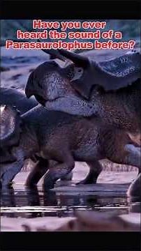 The Sound of a Parasaurolophus