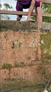 🧹🌿 Vertical Wall Moss and Debris Scraping