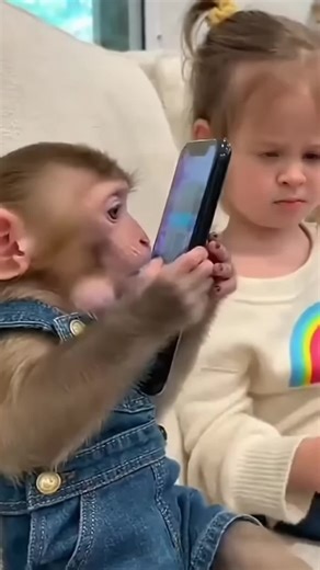 The Funny Cute A Little Girl And Monkey