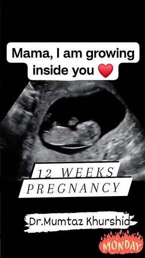 12 Weeks Pregnancy Ultrasound Scan