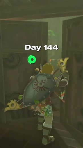 Day 144 #100 #zelda #daily