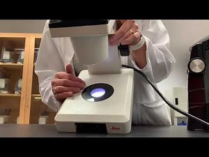 Dissecting Microscope Parts