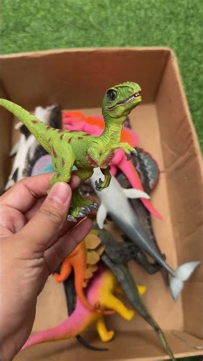 Hunting Jurassic World Toy Dinosaur Collection ASMR