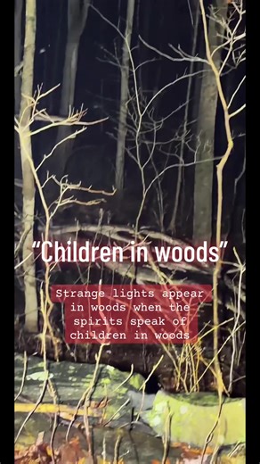 Strange Lights in Buckhout Woods Reveal Paranormal Activity