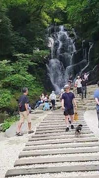 福岡県糸島市にある観光名所【白糸の滝】が今、めちゃくちゃ大人気スポットで癒される～！糸島を満喫できるところ。 #絶好調あらっきー