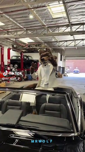 🇲 🇷 🇼 🇴 🇱 🇫 🐺 CAR The Bad Guys 🔥movie 🎥 #mrwolf #wolf #TheBadGuys #fyp #thebadguys2 @𝐋𝐮𝐦𝐢𝐀𝐳𝐫 𝐜𝐫 @Anton🇹🇷🇷🇺🇪🇸🇧🇷