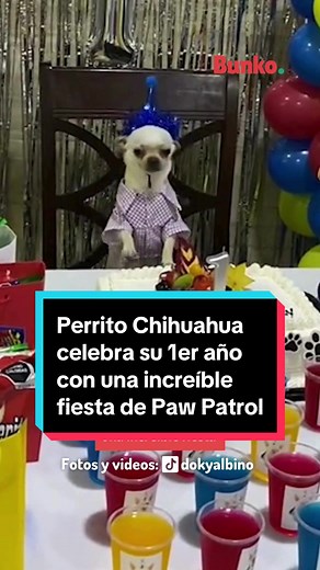 Fiesta de Cumpleaños de Perrito Chihuahua con Paw Patrol
