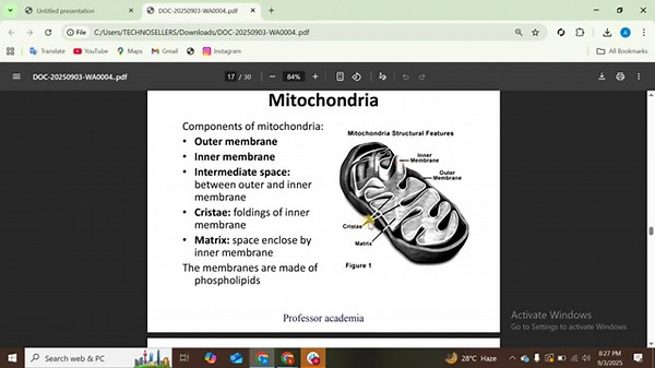Biology | Chapter-1 | Cell Structure and Function