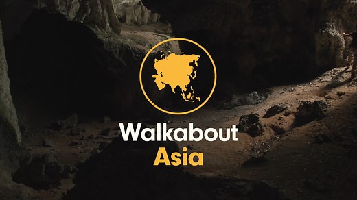 223K views · 200 reactions | Rock art is human-made markings like carvings and drawings on natural rock surfaces. The study of rock art in Malaysia is still young with more and more sites being discovered. This story was in collaboration with Masoorat Heritage Park | Walkabout Asia | Facebook