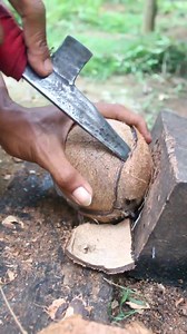 28K views · 55 reactions | How to break a round coconut shell #coconut #howtoopencoconut #satisfying | Handika Amiranto | Facebook