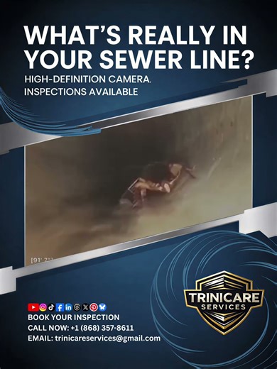 Cockroach in Your Sewer Line Could Cost You Thousands Call TriniCare for Camera Inspection