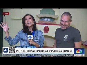 Get to know some of the adoptable pets at the Pasadena Humane Society