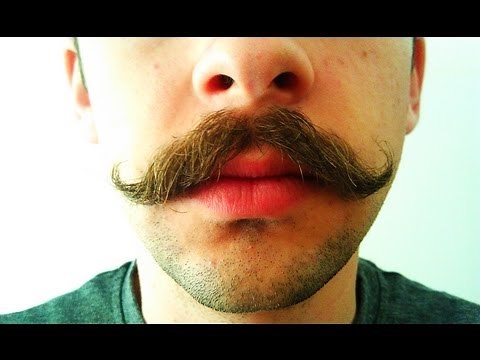 Mustache Growth Time Lapse