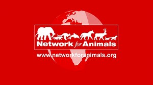 Today is International Dog Day, a day to honor the amazing bond between humans and their furry companions. Dogs are more than pets – they're our stress-relievers, companions, and the source of countless smiles. Join our mission to make a difference. We rescue, provide care, and offer second chances to dogs in need. In the comments, tell us about a heartwarming moment with your dog. Let's fill this post with the joy and love our four-legged friends bring to our lives! Let's spread the joy that do