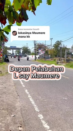 Exploring the Rural Charm of Wadja Mayu Mbok