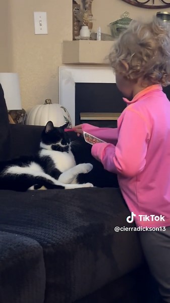 Makeup Tips for Cat Lovers