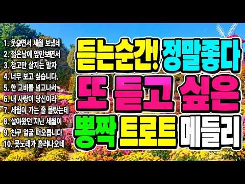 🎧[Playlist] 신나는 트로트 메들리 l 신나는 트로트 노래모음 l 신나는 트로트 메들리 모음ㅣ