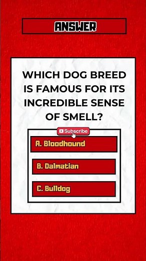 Dog Quiz 🐶🐾: Can You Answer All 5 Pup Questions?