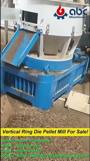 Vertical Ring Die Pellet Mill – High-Efficiency Biomass Pellet Machine for Industrial Use