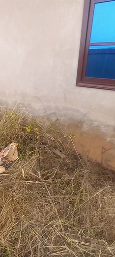 start treating your rising damp from the foundation trench to avoid all these mess