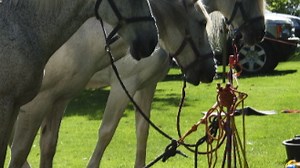 iPhone 3.0 tethering support: Now what?