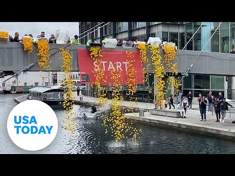 Over 1,000 rubber ducks hit the water in London in a race for charity | USA TODAY