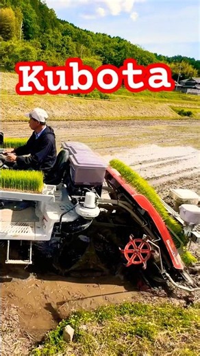 Kubota NW60S GS 田植え機 田植え作業#farming #現代農業 #automobile #kubota#農業 #agriculturelife