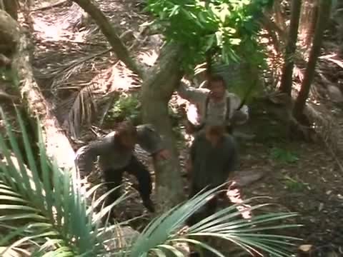 mysterious island 6