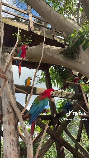 Hacienda Park Adventure: Full-Day Punta Cana Excursion